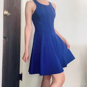 Parker Royal Blue Textured Swing Dress